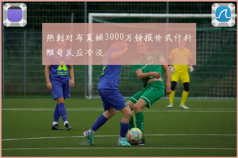 热刺对布莱顿3000万镑报价武什科维奇反应冷淡